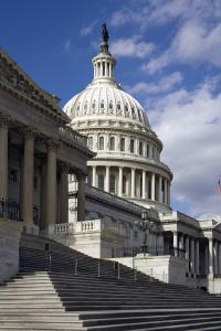 US Capitol & Congress in Washington, DC